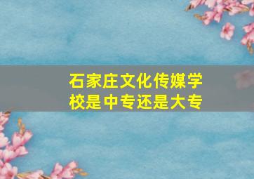 石家庄文化传媒学校是中专还是大专