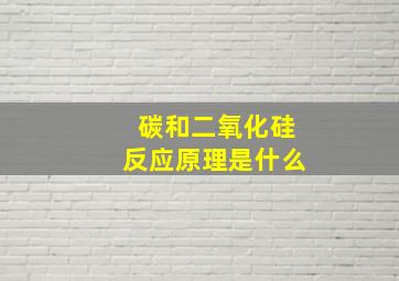 碳和二氧化硅反应原理是什么