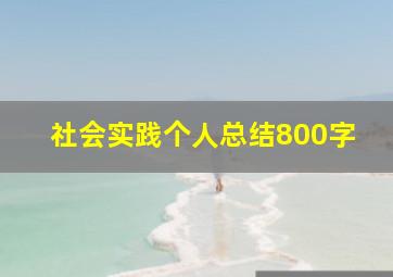 社会实践个人总结800字