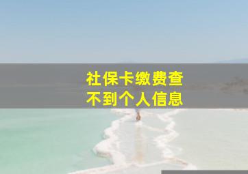 社保卡缴费查不到个人信息