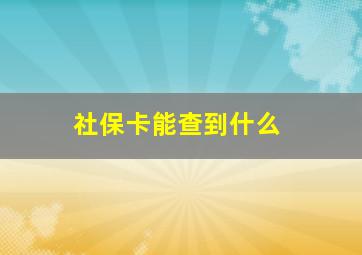 社保卡能查到什么