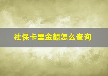 社保卡里金额怎么查询