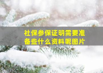 社保参保证明需要准备些什么资料呢图片