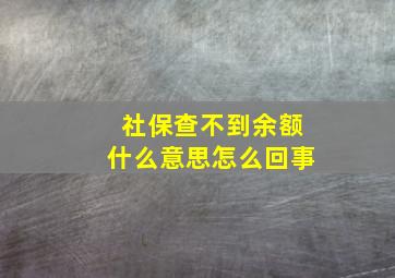 社保查不到余额什么意思怎么回事