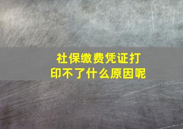 社保缴费凭证打印不了什么原因呢