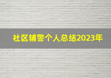 社区辅警个人总结2023年