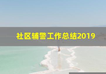 社区辅警工作总结2019