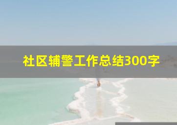 社区辅警工作总结300字