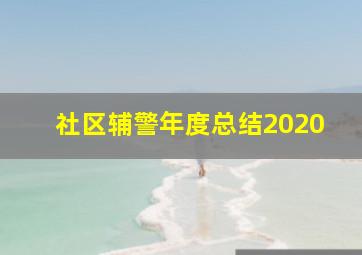 社区辅警年度总结2020