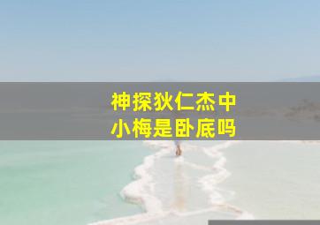 神探狄仁杰中小梅是卧底吗