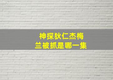 神探狄仁杰梅兰被抓是哪一集