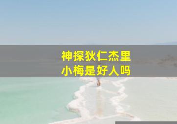 神探狄仁杰里小梅是好人吗