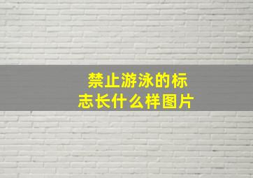 禁止游泳的标志长什么样图片