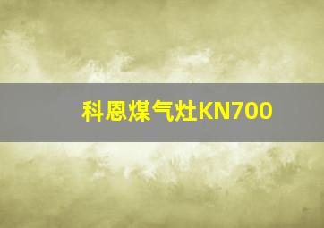 科恩煤气灶KN700