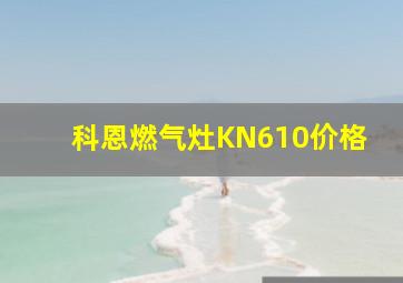 科恩燃气灶KN610价格