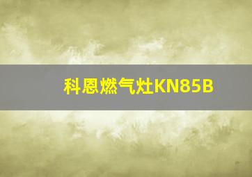 科恩燃气灶KN85B