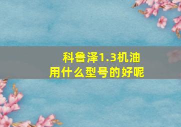 科鲁泽1.3机油用什么型号的好呢