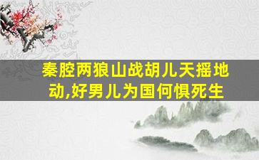 秦腔两狼山战胡儿天摇地动,好男儿为国何惧死生