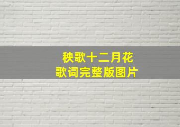 秧歌十二月花歌词完整版图片