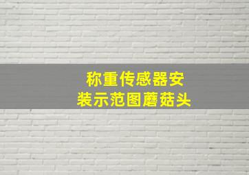 称重传感器安装示范图蘑菇头