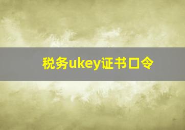 税务ukey证书口令