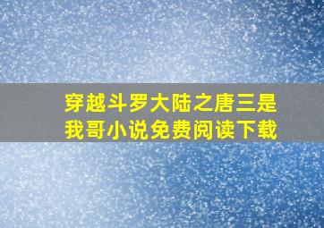 穿越斗罗大陆之唐三是我哥小说免费阅读下载