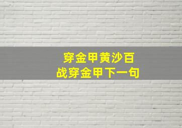 穿金甲黄沙百战穿金甲下一句