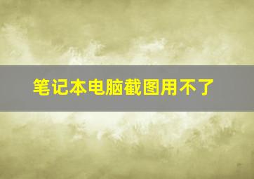 笔记本电脑截图用不了