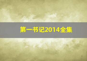 第一书记2014全集