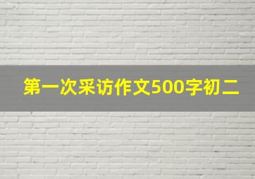 第一次采访作文500字初二