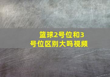 篮球2号位和3号位区别大吗视频