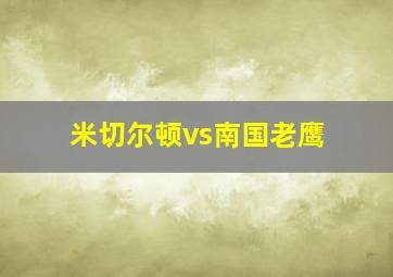 米切尔顿vs南国老鹰