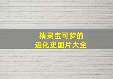 精灵宝可梦的进化史图片大全