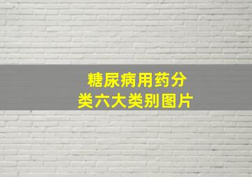 糖尿病用药分类六大类别图片