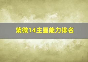 紫微14主星能力排名