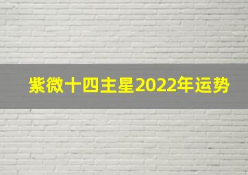 紫微十四主星2022年运势