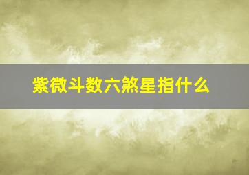 紫微斗数六煞星指什么