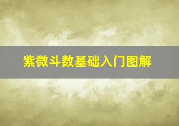 紫微斗数基础入门图解