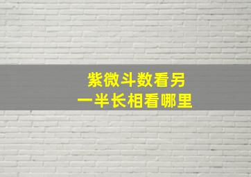 紫微斗数看另一半长相看哪里