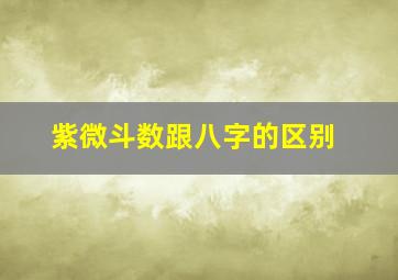 紫微斗数跟八字的区别