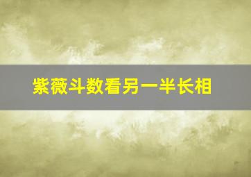 紫薇斗数看另一半长相