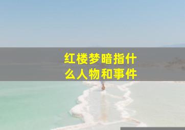 红楼梦暗指什么人物和事件