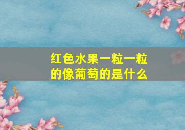 红色水果一粒一粒的像葡萄的是什么