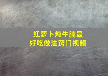 红萝卜炖牛腩最好吃做法窍门视频