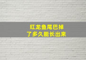 红龙鱼尾巴掉了多久能长出来