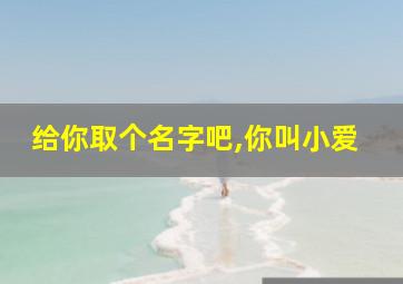 给你取个名字吧,你叫小爱