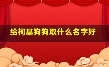 给柯基狗狗取什么名字好