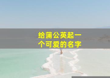 给蒲公英起一个可爱的名字