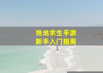 绝地求生手游新手入门指南