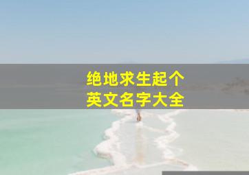 绝地求生起个英文名字大全